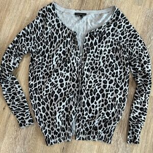 EXPRESS Leopard Print Cropped Sweater